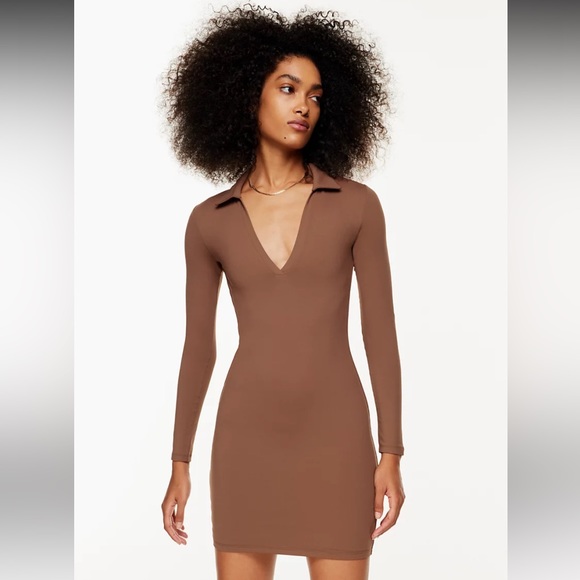 🤎 Aritzia Contour Polo Dress NEW - Size Small - Picture 3 of 10